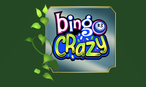 bingo crazy logo