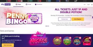 sky bingo screenshot