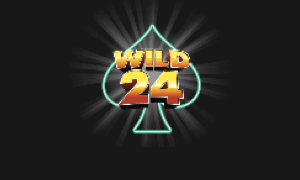 wild24 logo